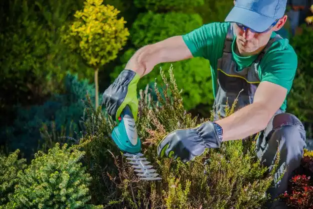 landscaping services Stamping Ground